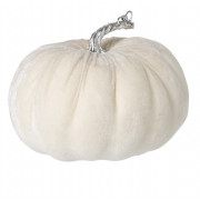 White Velvet Pumpkin - Silver stem 